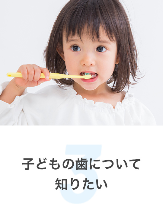 子どもの歯について 知りたい